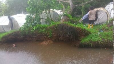 Relawan PMI Meninggal Dunia Ditimpa Pohon