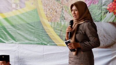 Lahan Pertanian di Singkawang Semakin Berkurang