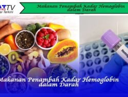 Makanan Penambah Kadar Hemoglobin dalam Darah