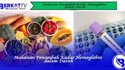 Makanan Penambah Kadar Hemoglobin dalam Darah