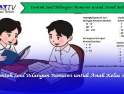 Contoh Soal Bilangan Romawi untuk Anak Kelas 2