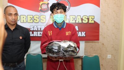 Ganja 1,5 Kg dari Medan Masuk Pontianak