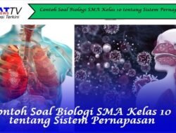 Contoh Soal Biologi SMA Kelas 10 tentang Sistem Pernapasan