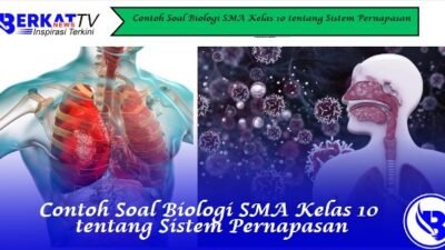 Contoh Soal Biologi SMA Kelas 10 tentang Sistem Pernapasan