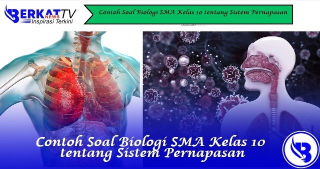 Contoh Soal Biologi SMA Kelas 10 tentang Sistem Pernapasan