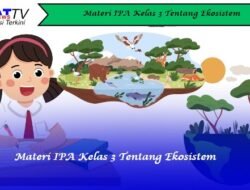 Materi IPA Kelas 3 Tentang Ekosistem