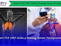 Materi IPA SMP Kelas 9 tentang Sistem Pernapasan