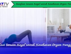 Manfaat Senam Kegel untuk Kesehatan Organ Panggul