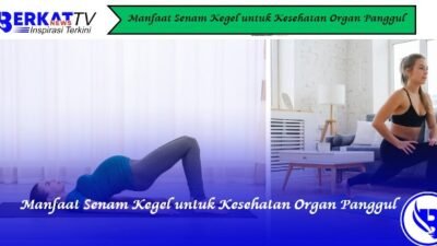 Manfaat Senam Kegel untuk Kesehatan Organ Panggul
