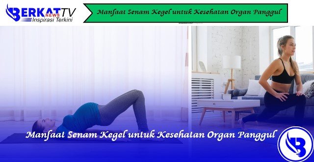 Manfaat Senam Kegel untuk Kesehatan Organ Panggul
