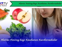 Nutrisi Penting bagi Kesehatan Kardiovaskular