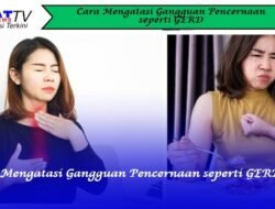 Cara Mengatasi Gangguan Pencernaan seperti GERD