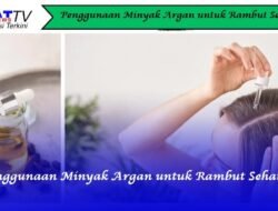 Penggunaan Minyak Argan untuk Rambut Sehat
