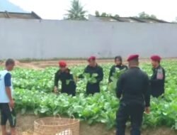 Berdayakan WBP Lapas Tanam Sayur