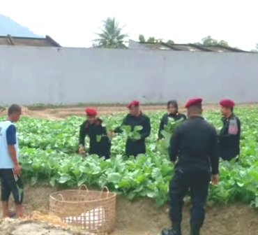 Berdayakan WBP Lapas Tanam Sayur