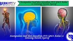 Kumpulan Soal dan Jawaban IPA SMA Kelas 10 tentang Sistem Syaraf