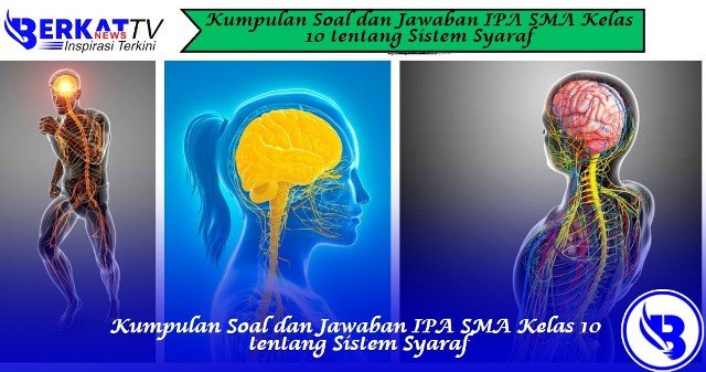 Kumpulan Soal dan Jawaban IPA SMA Kelas 10 tentang Sistem Syaraf