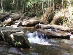 10 Desa Wisata di Sanggau Belum Beroperasi Optimal. Ini Penyebabnya