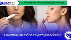 Cara Mengatasi Bibir Kering dengan Pelembap