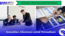 Konsultan Akuntansi untuk Perusahaan