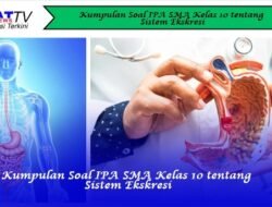 Kumpulan Soal IPA SMA Kelas 10 tentang Sistem Ekskresi
