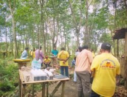 Petani Papua Barat Belajar Budidaya Lebah Madu Trigona di Kalbar