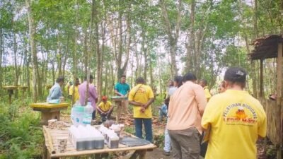 Petani Papua Barat Belajar Budidaya Lebah Madu Trigona di Kalbar