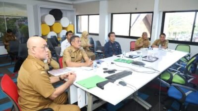 Waspada Flu Babi Afrika Jelang Nataru