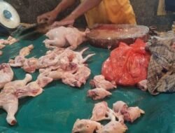 Harga Ayam Potong Naik Jelang Tahun Baru