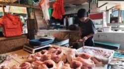 MBG Picu Kenaikan Harga Ayam dan Telur