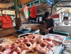 Awal Tahun 2025, Harga Ayam Potong Rp50 Ribu