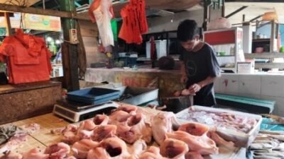 Awal Tahun 2025, Harga Ayam Potong Rp50 Ribu