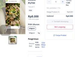 BUMDesa Bintang Baru Utama Penyedia Pangan Makan Bergizi Gratis di Kalbar