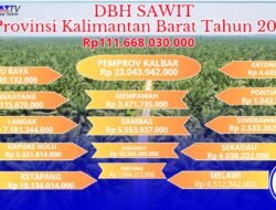 DBH Sawit Kalbar Tahun 2025 Rp111,6 Miliar
