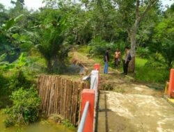 Perbaiki Jalan ke Lahan Pertanian Tingkat Produktifitas Pangan