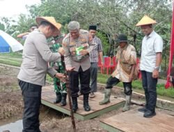 Tanam Jagung Dukung Ketahanan Pangan