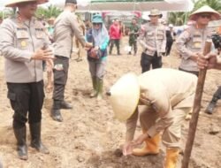 Targetkan Jagung Kubu Raya Ekspor ke Malaysia
