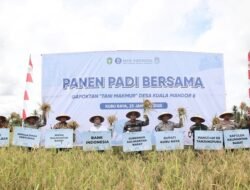 Gapoktan di Kuala Mandor B Mampu Hasilkan 3,5 Ton Padi per Hektare
