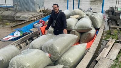 Ribuan ton kratom Kalbar tidak bisa diekspor lantaran terganjal Persetujuan Ekspor (PE) yang belum bisa dikeluarkan oleh Kementerian Perdagangan