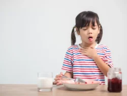 Murid SD Keracunan Makan Bergizi Gratis, Kepala SDN 8 Angkat Bicara