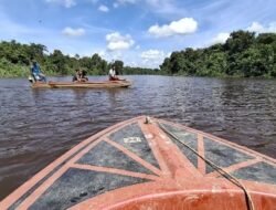 Empat Hari Bocah 6 Tahun Diterkam Buaya Belum Ditemukan