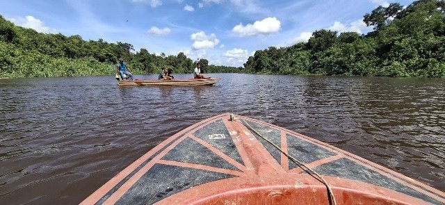 Empat Hari Bocah 6 Tahun Diterkam Buaya Belum Ditemukan