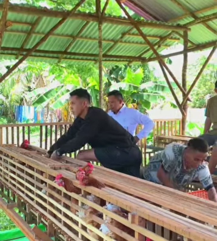 Napi Kembangkan Ayam Petelur di Lapas
