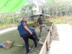 Razia Judi Sabung Ayam Saat Idulfitri Diduga Bocor