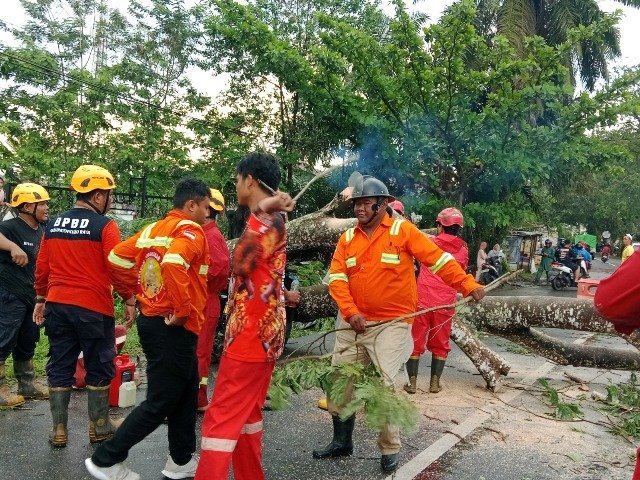 30 Rumah Rusak dan Pohon Tumbang Menimpa Pengendara Motor Akibat Cuaca Ekstrem