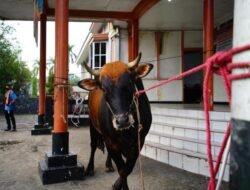 Rumah Pemotongan Hewan Diawasi Jelang Iduladha