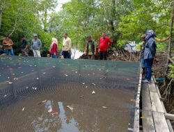 31 Desa di Kubu Raya Dipercayakan Mengelola Perhutanan Sosial