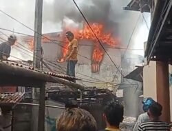 Beting Dilahap Si Jago Merah