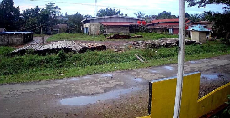 1.138 Kayu Ilegal Berasal dari HPH SJM Titipan Polda Kalbar
