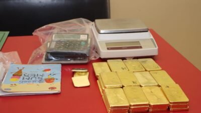 Total Berat 47 Keping Emas Sitaan 32,9 kilogram